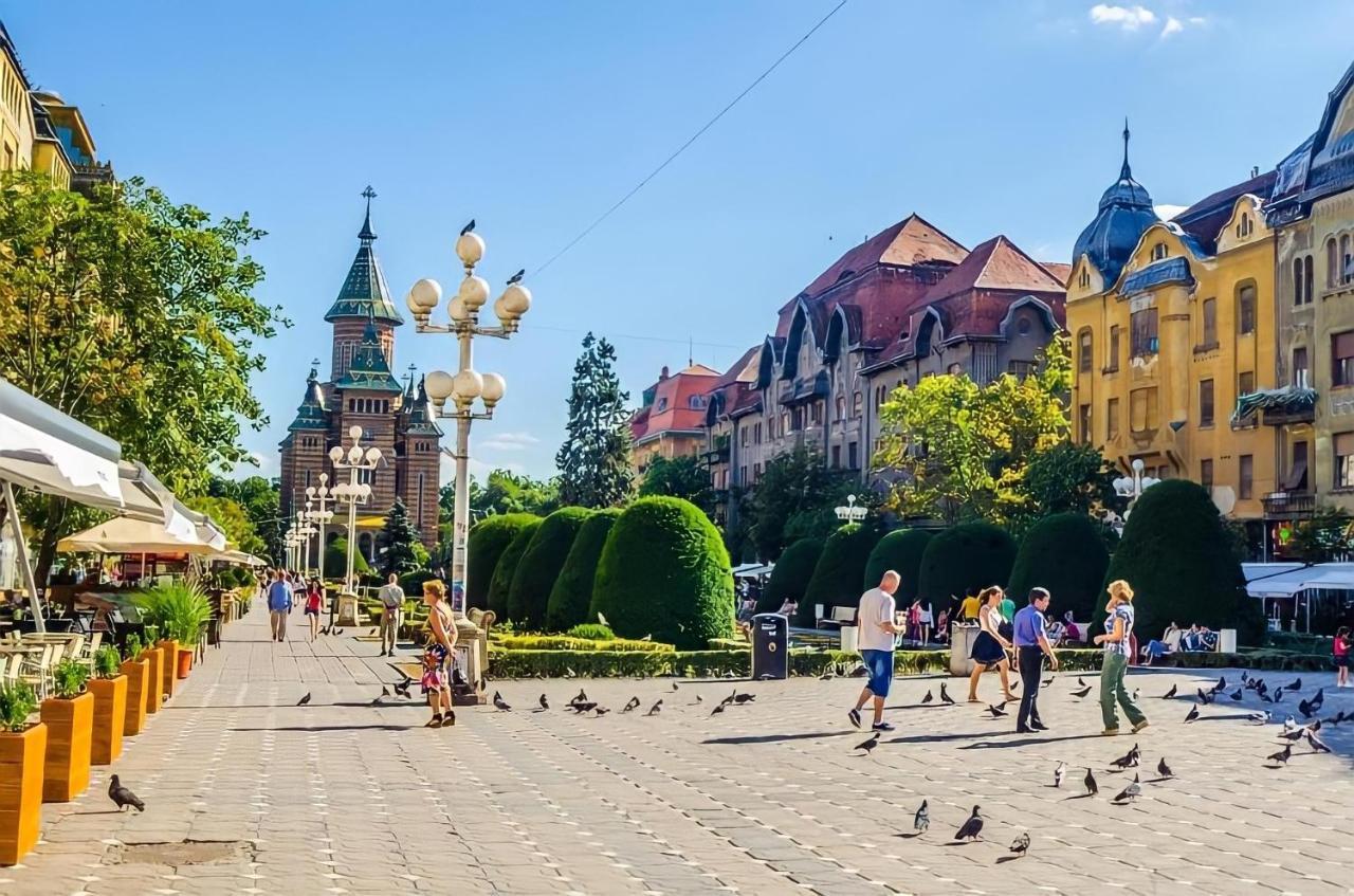 Belle Vue Ultracentral Apartments Timisoara Esterno foto
